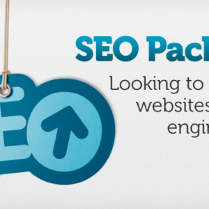 Basic SEO Plan